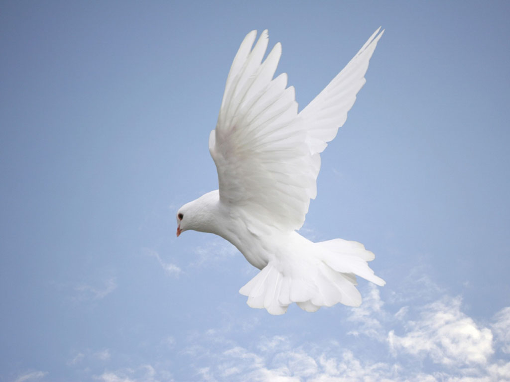 Dove Ordinare Il Atomoxetine